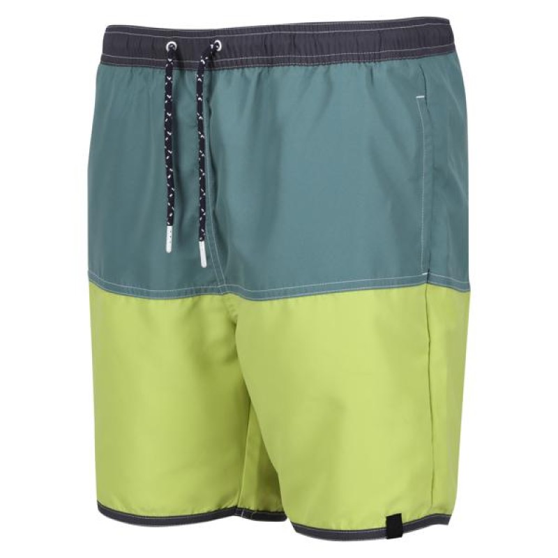Купальник Regatta Benicio SwimShort