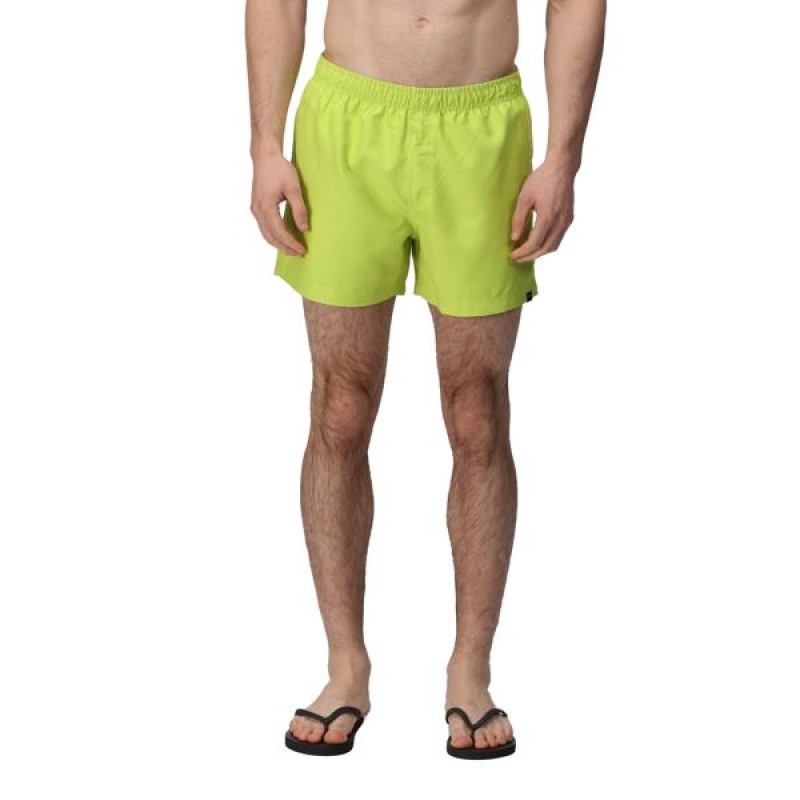 Купальник Regatta Wayde Swim Shorts