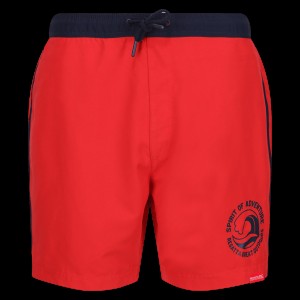 Купальник Regatta Benthamswimshort