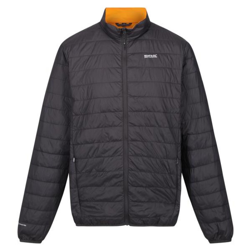 Quilted Jacket Regatta Hillpack