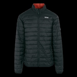 Quilted Jacket Regatta Hillpack II