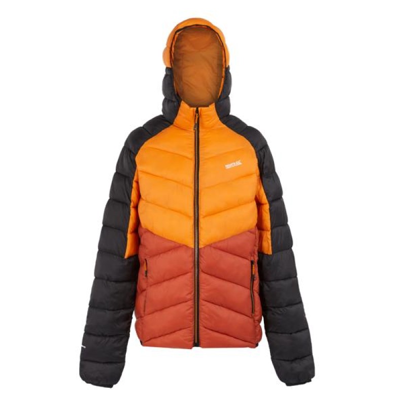 Quilted Jacket Regatta Hooded Dalent