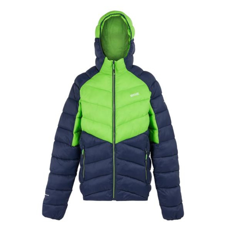Quilted Jacket Regatta Hooded Dalent