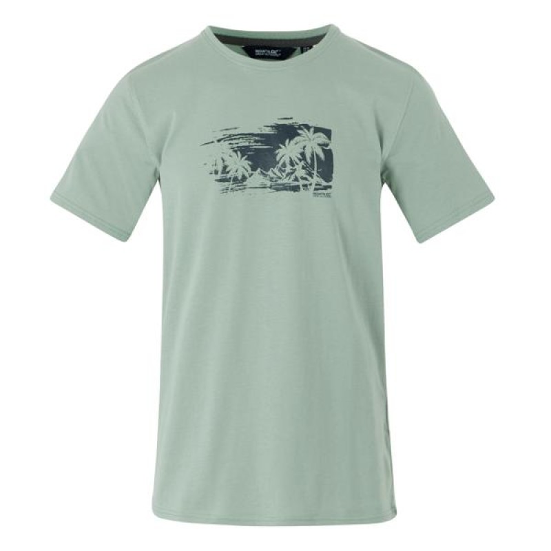 Футболка Regatta Cline IX