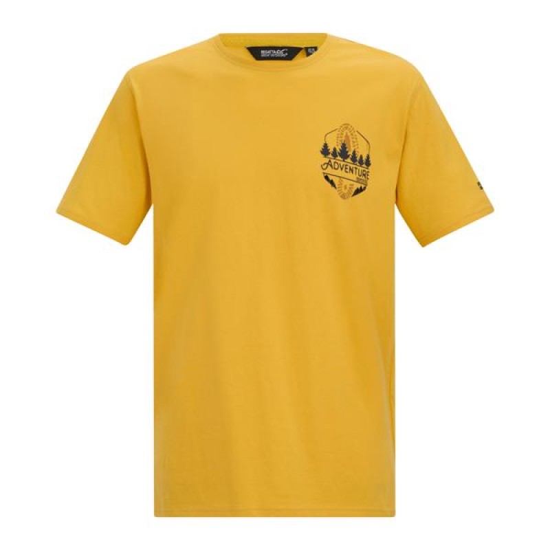 Футболка Regatta Cline IX