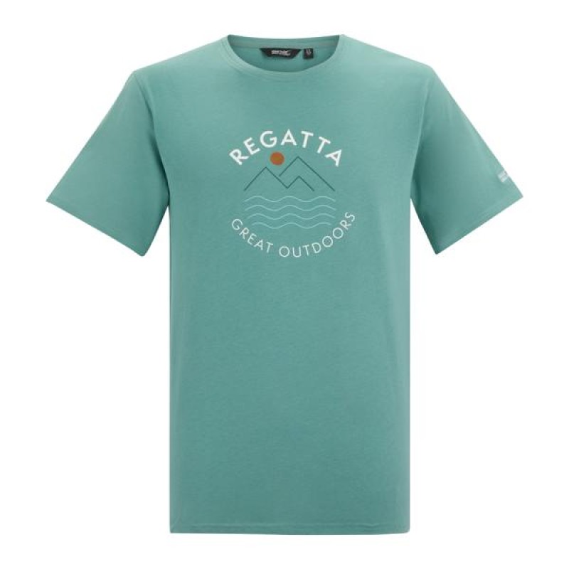 Футболка Regatta Cline IX