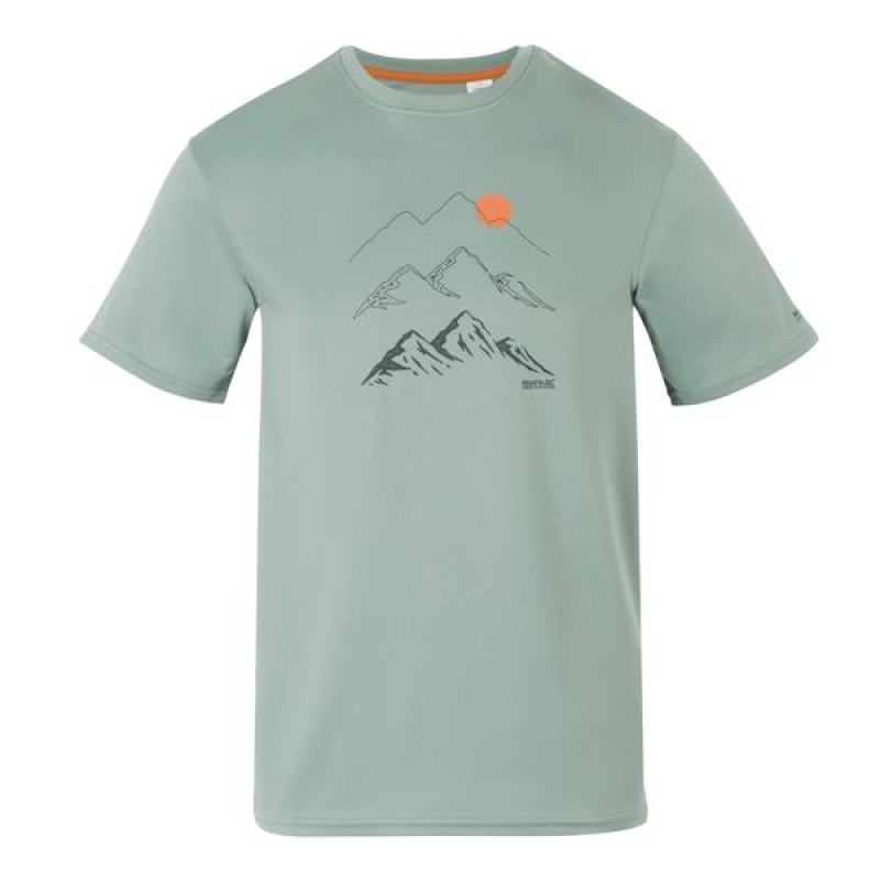 Футболка Regatta Fingal IX
