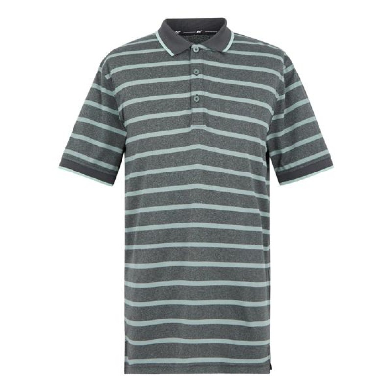 Poloshirt Regatta Kildra