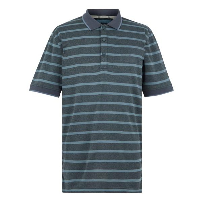 Poloshirt Regatta Kildra