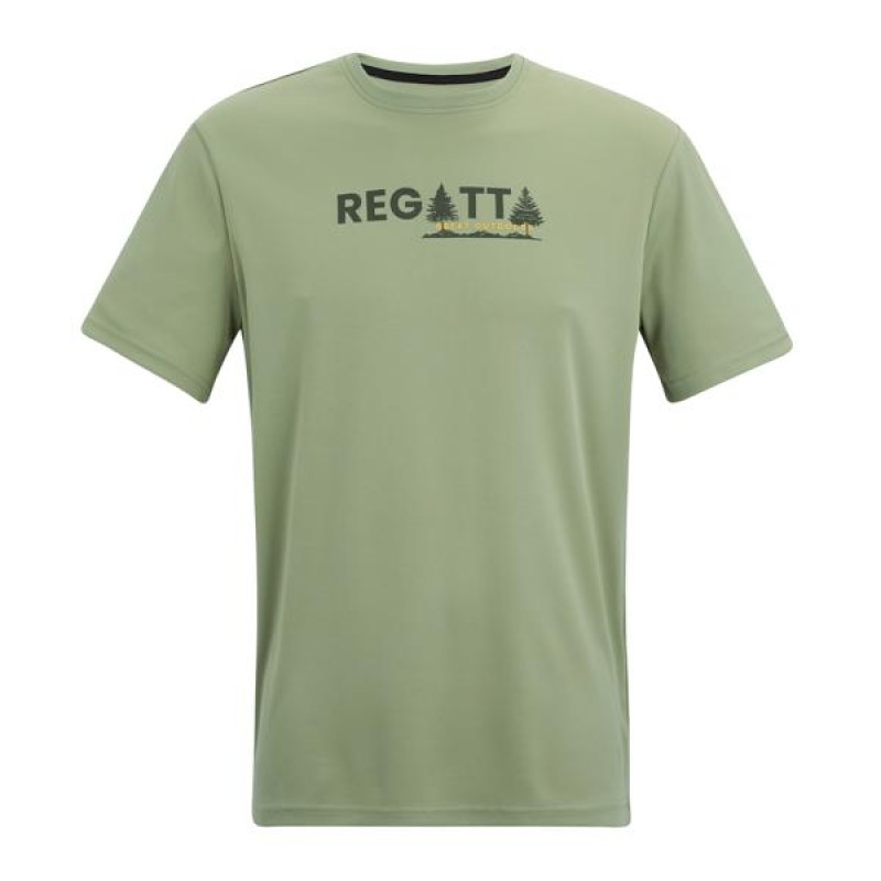 Футболка Regatta Fingal