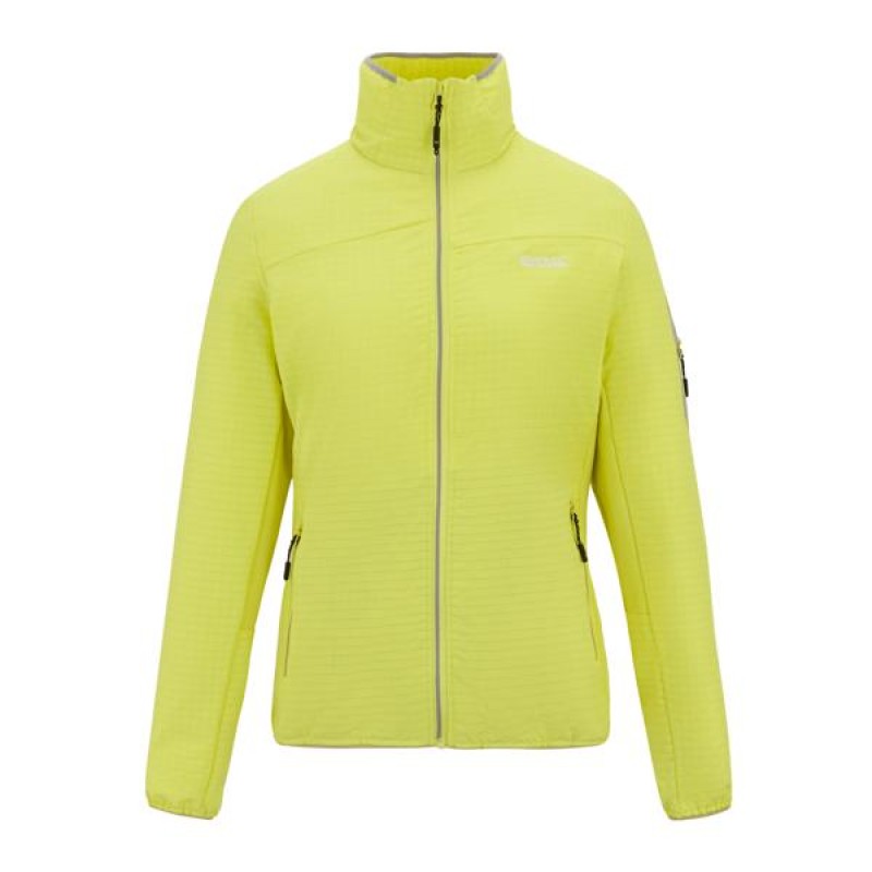 Stretch Midlayer Regatta Ralina