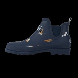 Гумові чоботи Regatta Lady Harper Welly