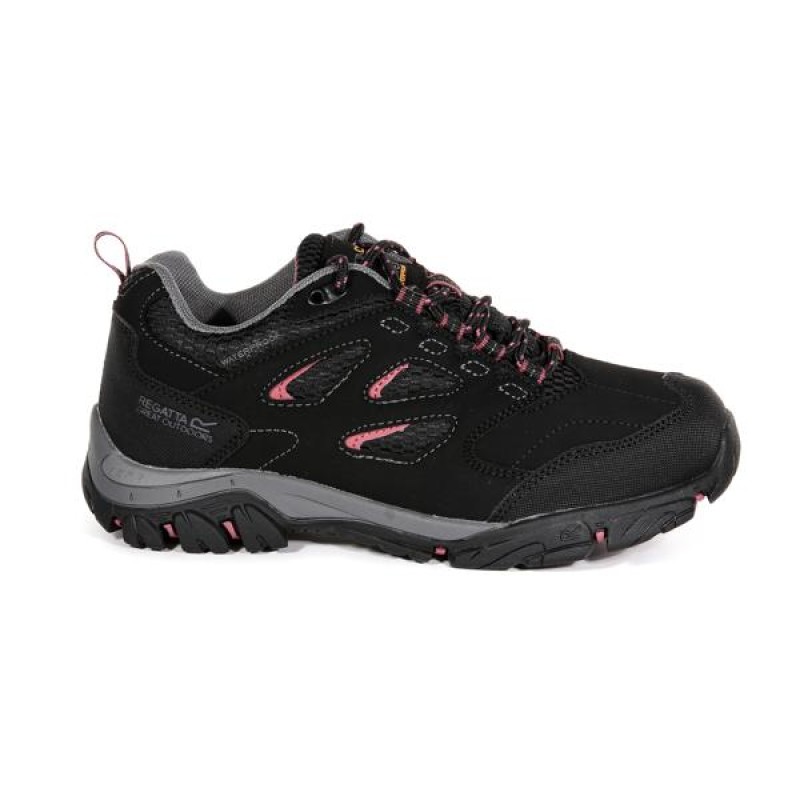 Schoenen Regatta Holcombe IEP Low
