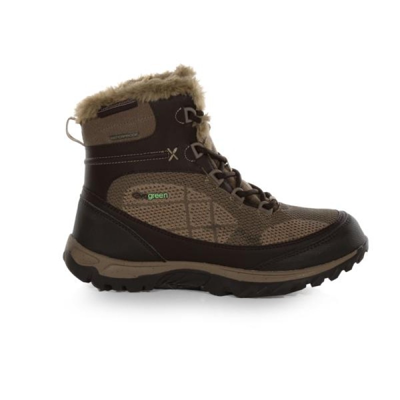 Черевики Regatta Lady Hawthorn Evo