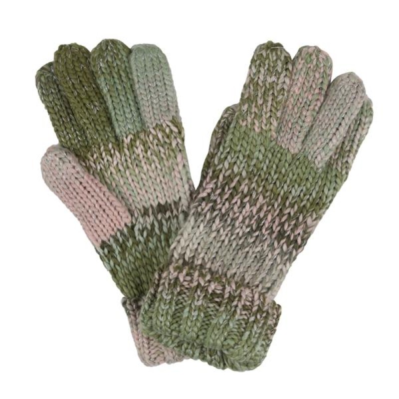 Handschoenen Regatta Frosty Glove VI