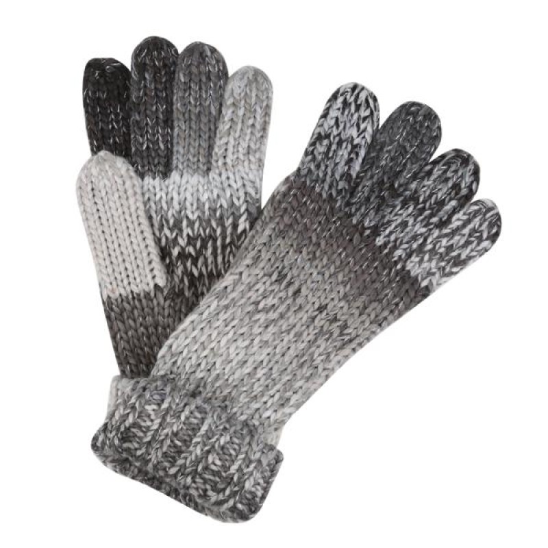 Handschoenen Regatta Frosty Glove VI