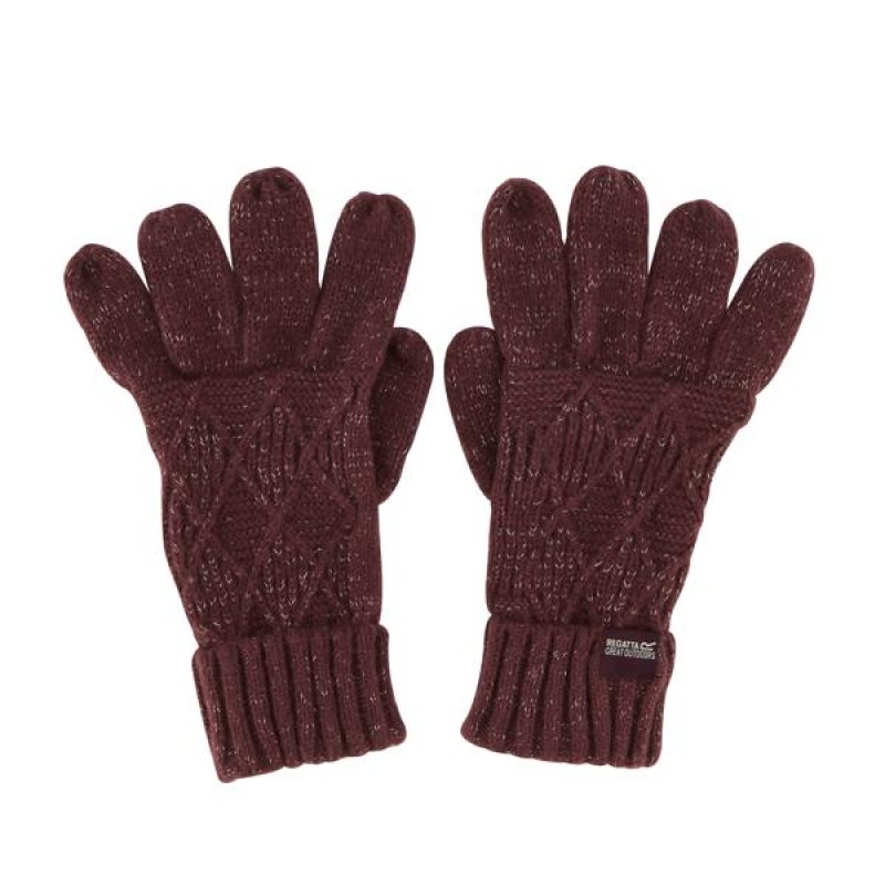 Handschoenen Regatta Multimix Glove
