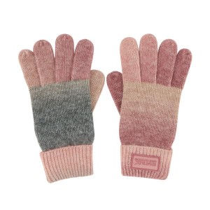Handschoenen Regatta Frosty Glove