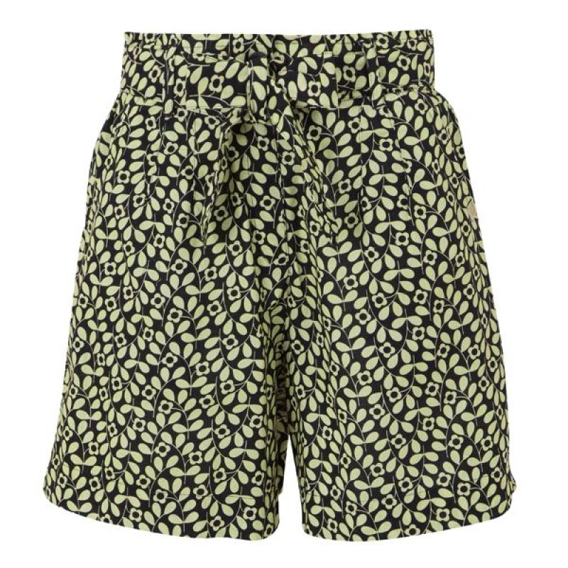 Korte Broek Regatta OrlaSummerShortII