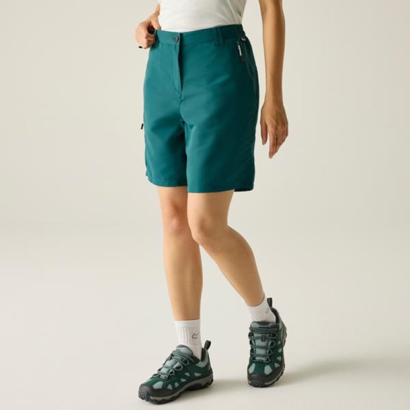 Шорти Regatta Chaska Shorts III
