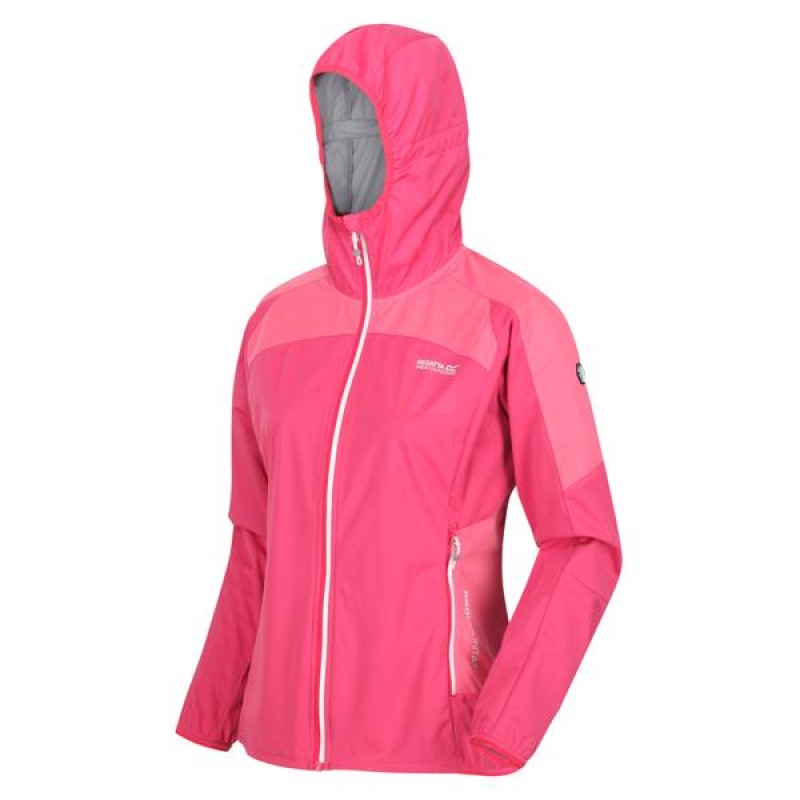 Софтшел Regatta Wmns Tarvos IV