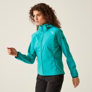 Softshell Regatta Bourda