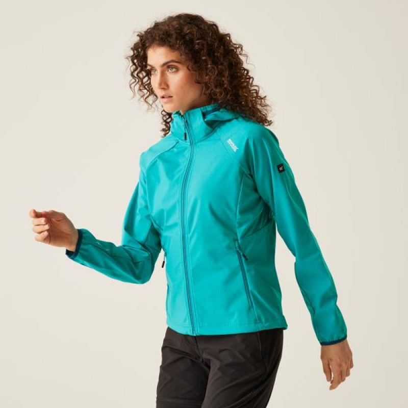 Softshell Regatta Bourda
