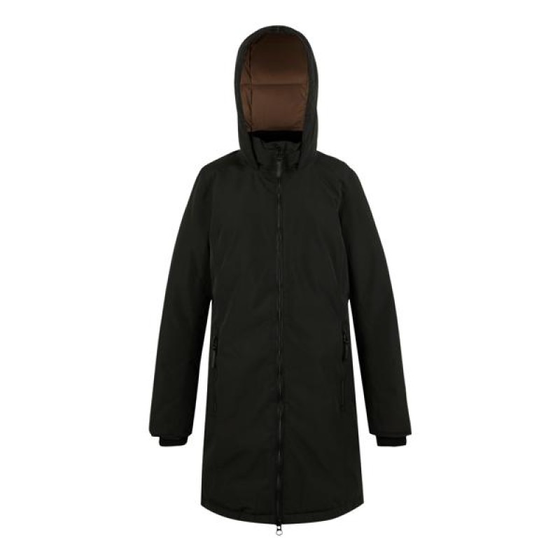 Insulated Jacket Regatta Women's Marron