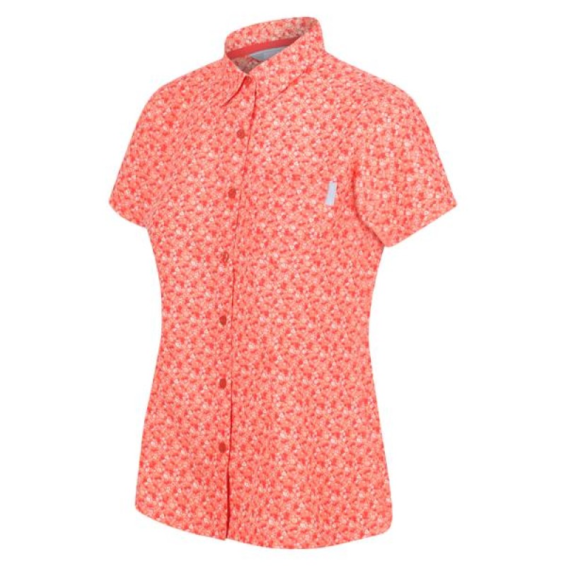 Overhemd Regatta Womens Mindano VI